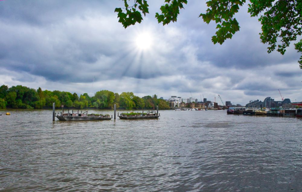 What Are The Local Amenities And Attractions In Putney For Property Buyers